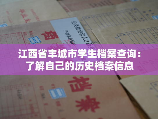 江西省丰城市学生档案查询：了解自己的历史档案信息