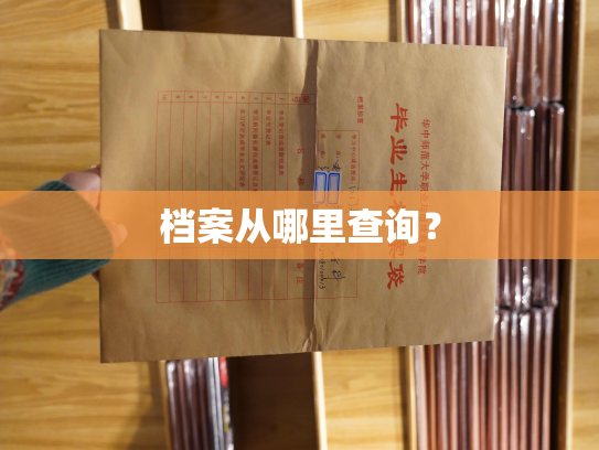 档案从哪里查询？