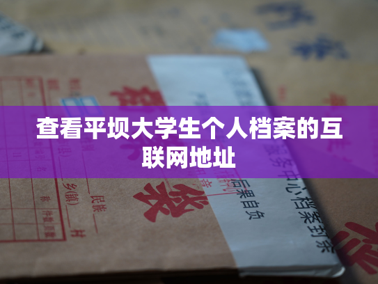查看平坝大学生个人档案的互联网地址