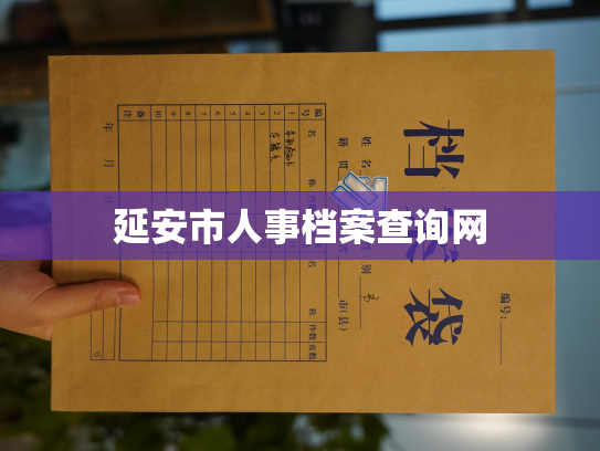延安市人事档案查询网
