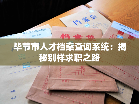 毕节市人才档案查询系统：揭秘别样求职之路