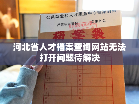 河北省人才档案查询网站无法打开问题待解决