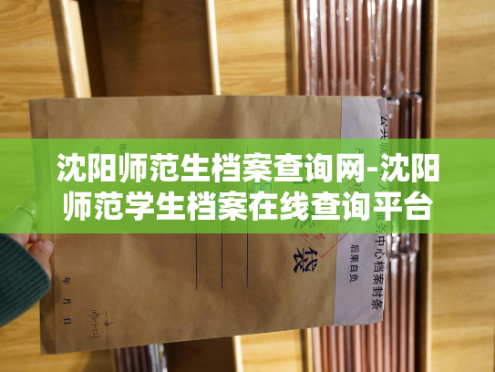 沈阳师范生档案查询网-沈阳师范学生档案在线查询平台
