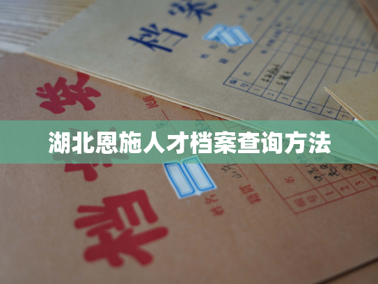 湖北恩施人才档案查询方法