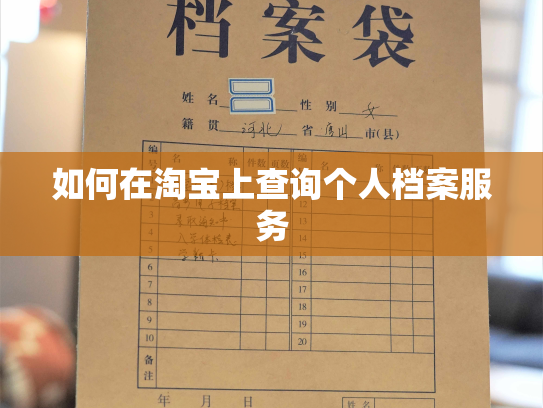 如何在淘宝上查询个人档案服务