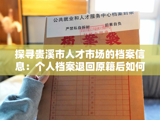 探寻贵溪市人才市场的档案信息：个人档案退回原籍后如何查询的指南