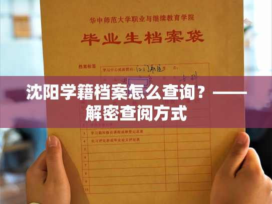沈阳学籍档案怎么查询？——解密查阅方式
