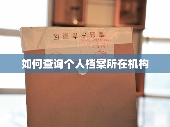 如何查询个人档案所在机构