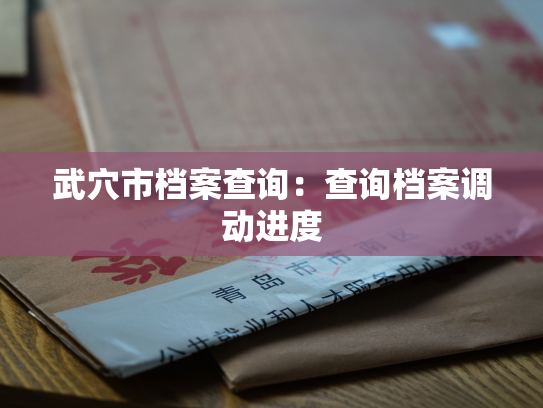 武穴市档案查询：查询档案调动进度
