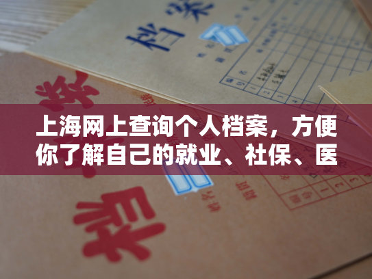 上海网上查询个人档案，方便你了解自己的就业、社保、医疗等信息