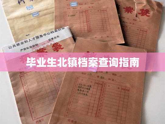 毕业生北镇档案查询指南