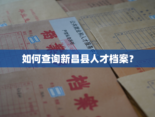 如何查询新昌县人才档案？