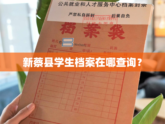 新蔡县学生档案在哪查询？