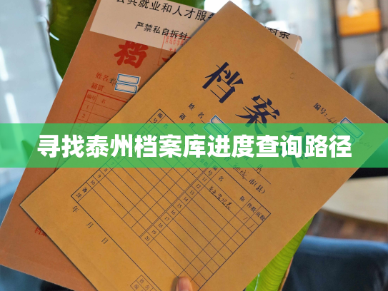 寻找泰州档案库进度查询路径