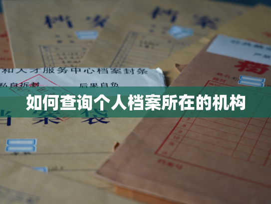 如何查询个人档案所在的机构