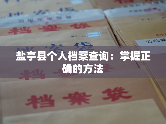 盐亭县个人档案查询：掌握正确的方法