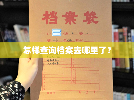 怎样查询档案去哪里了？