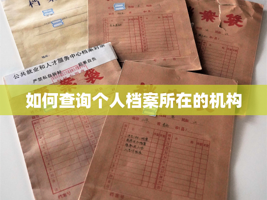 如何查询个人档案所在的机构