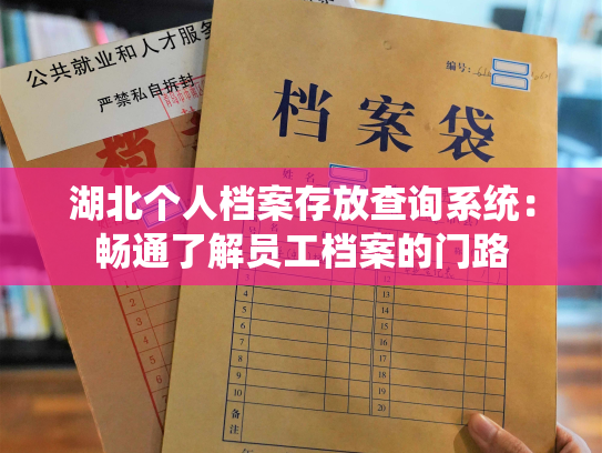 湖北个人档案存放查询系统：畅通了解员工档案的门路