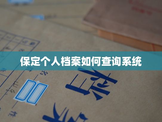 保定个人档案如何查询系统