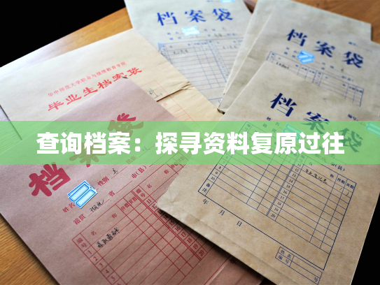 查询档案：探寻资料复原过往