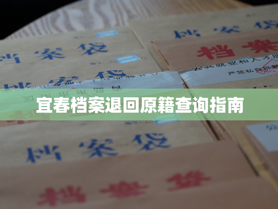 宜春档案退回原籍查询指南