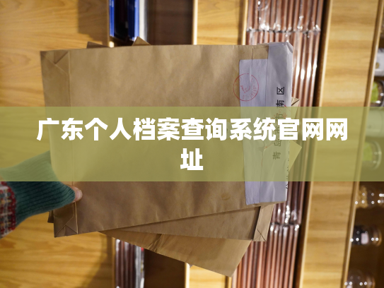 广东个人档案查询系统官网网址