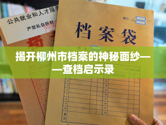 揭开柳州市档案的神秘面纱——查档启示录
