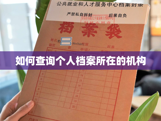 如何查询个人档案所在的机构