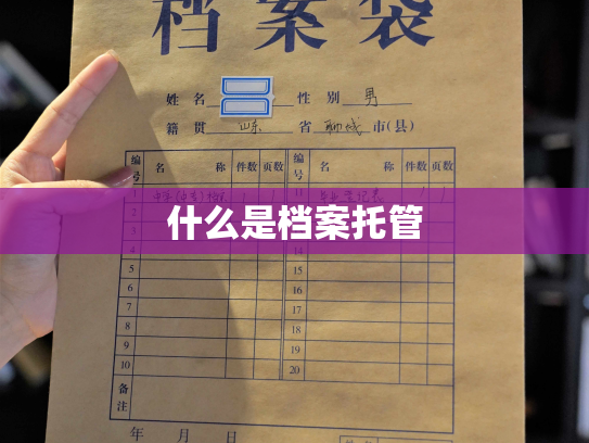 什么是档案托管