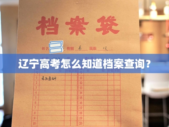 辽宁高考怎么知道档案查询？