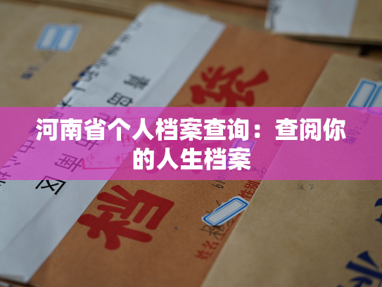 河南省个人档案查询：查阅你的人生档案