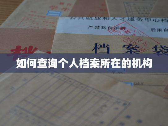 如何查询个人档案所在的机构