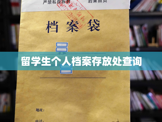 留学生个人档案存放处查询