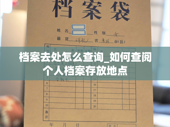 档案去处怎么查询_如何查阅个人档案存放地点