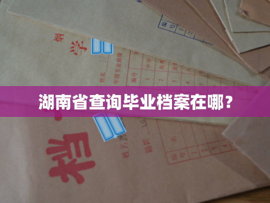 湖南省查询毕业档案在哪？