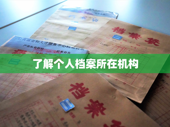 了解个人档案所在机构