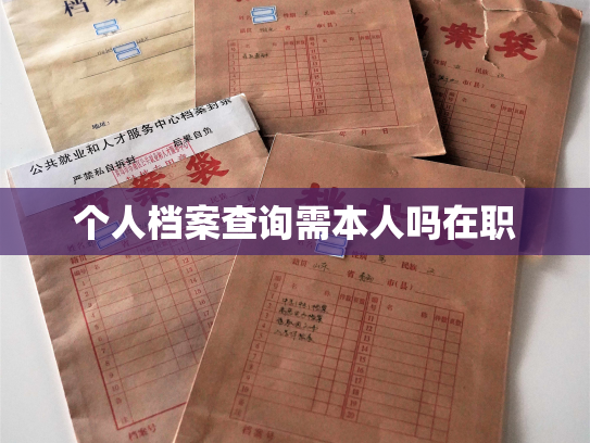 个人档案查询需本人吗在职