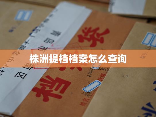 株洲提档档案怎么查询