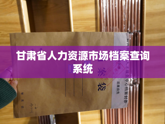 甘肃省人力资源市场档案查询系统