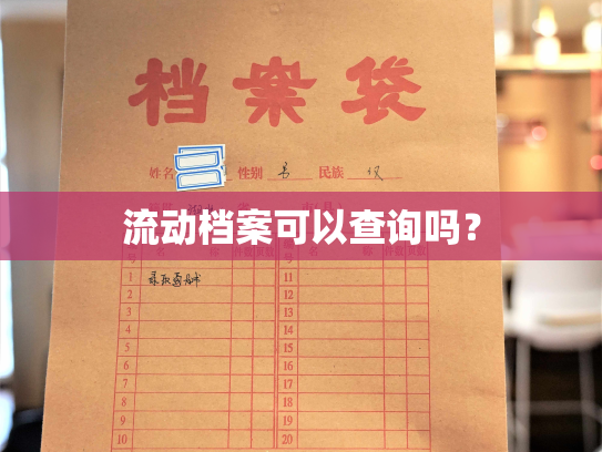 流动档案可以查询吗？