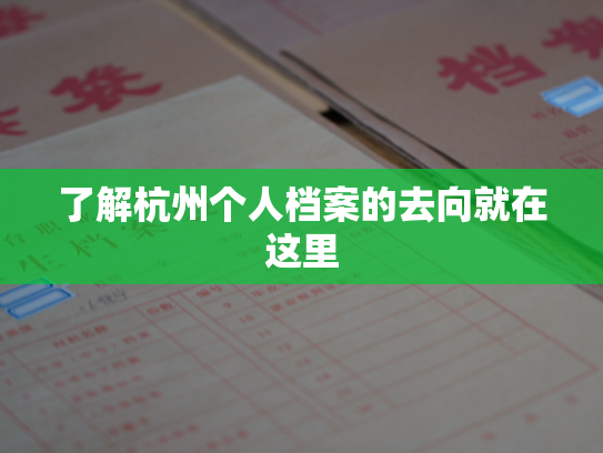 了解杭州个人档案的去向就在这里