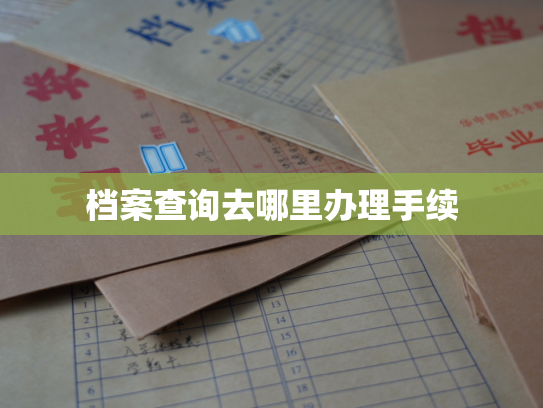 档案查询去哪里办理手续