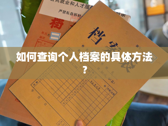 如何查询个人档案的具体方法？