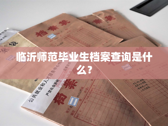 临沂师范毕业生档案查询是什么？