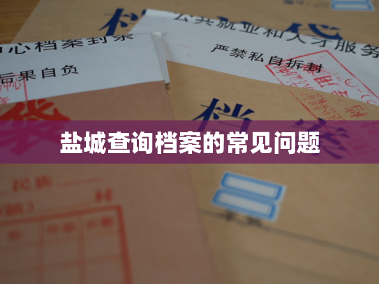盐城查询档案的常见问题