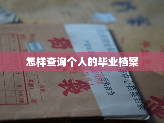 怎样查询个人的毕业档案