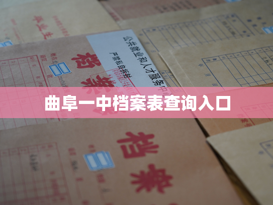 曲阜一中档案表查询入口