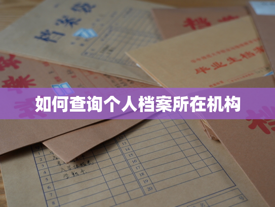 如何查询个人档案所在机构