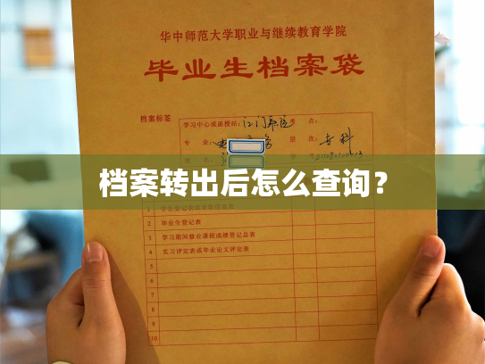 档案转出后怎么查询？